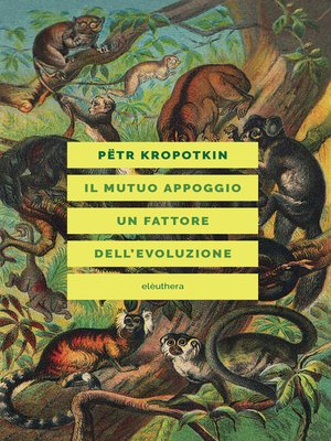 cover image of IL MUTUO APPOGGIO UN FATTORE DELL'EVOLUZIONE